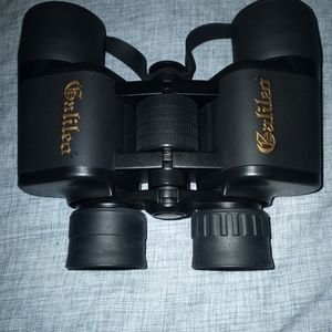 Galileo 8x40mm Porro Prism Binoculars G-840WA, Color: Black, Prism System